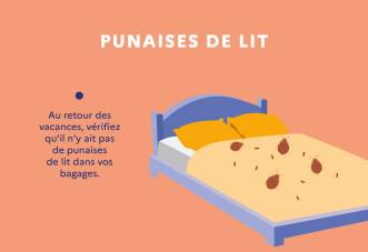 Infestation de punaises de lit après un voyage ? Starsnett Services intervient dans le Val-de-Marne pour vous aider !